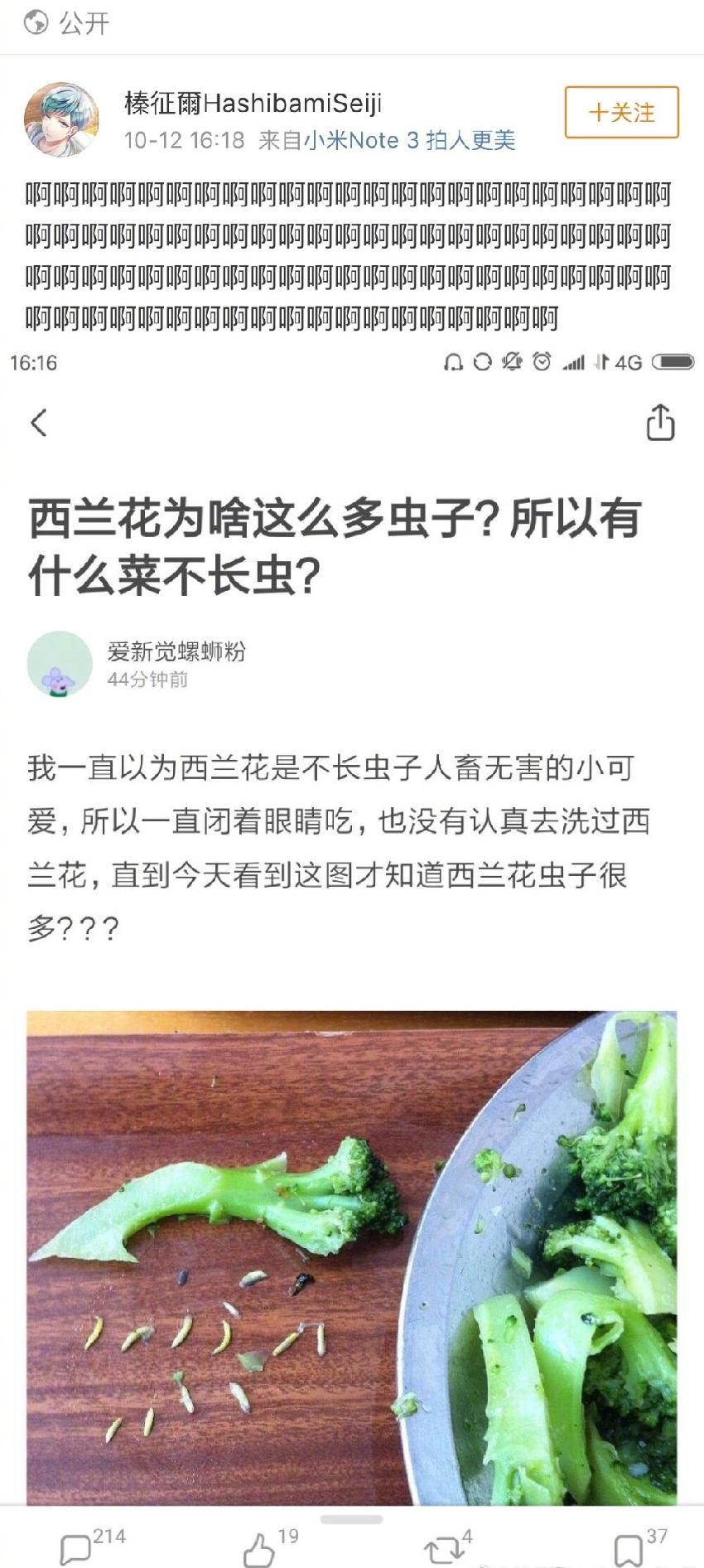 如何去掉西蘭花上的蟲子？99％的人不會處理啊|餐飲界